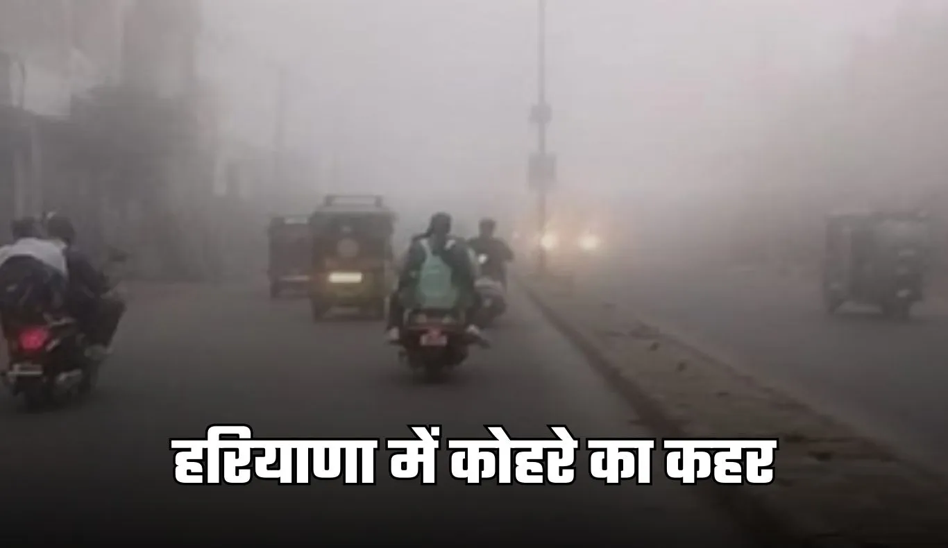 Haryana Weather: हरियाणा में कोहरे का कहर, IMD ने पहली बार जारी किया रेड अलर्ट