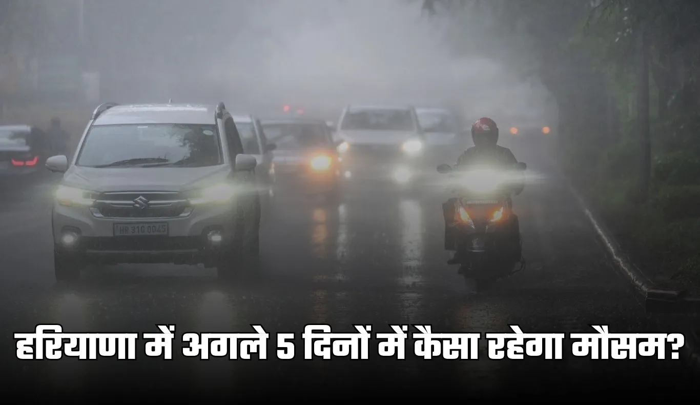 Haryana Weather: हरियाणा में अगले 5 दिनों में कैसा रहेगा मौसम? देखें पूर्वानुमान 