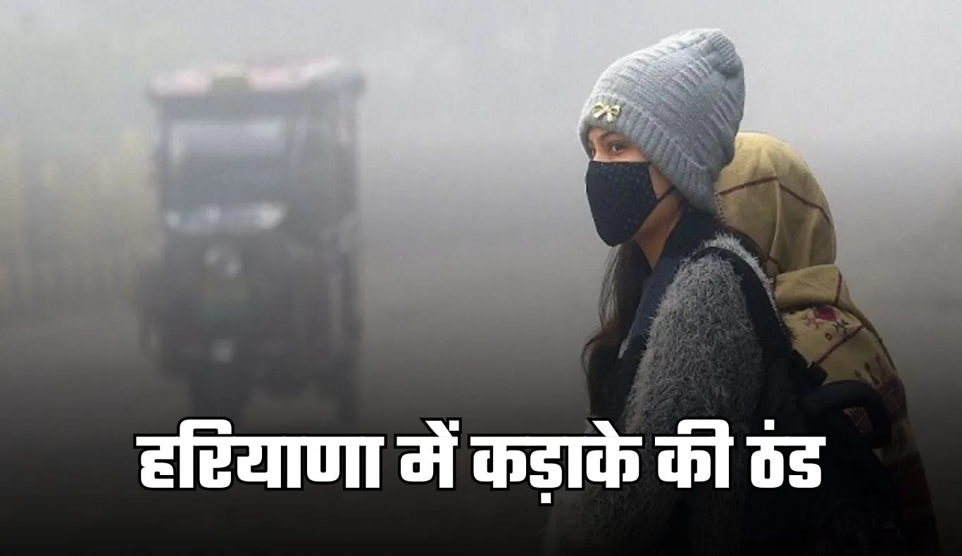 Haryana Weather: हरियाणा में कड़ाके की ठंड, 13 जिलों में कोहरे का ऑरेंज अलर्ट
