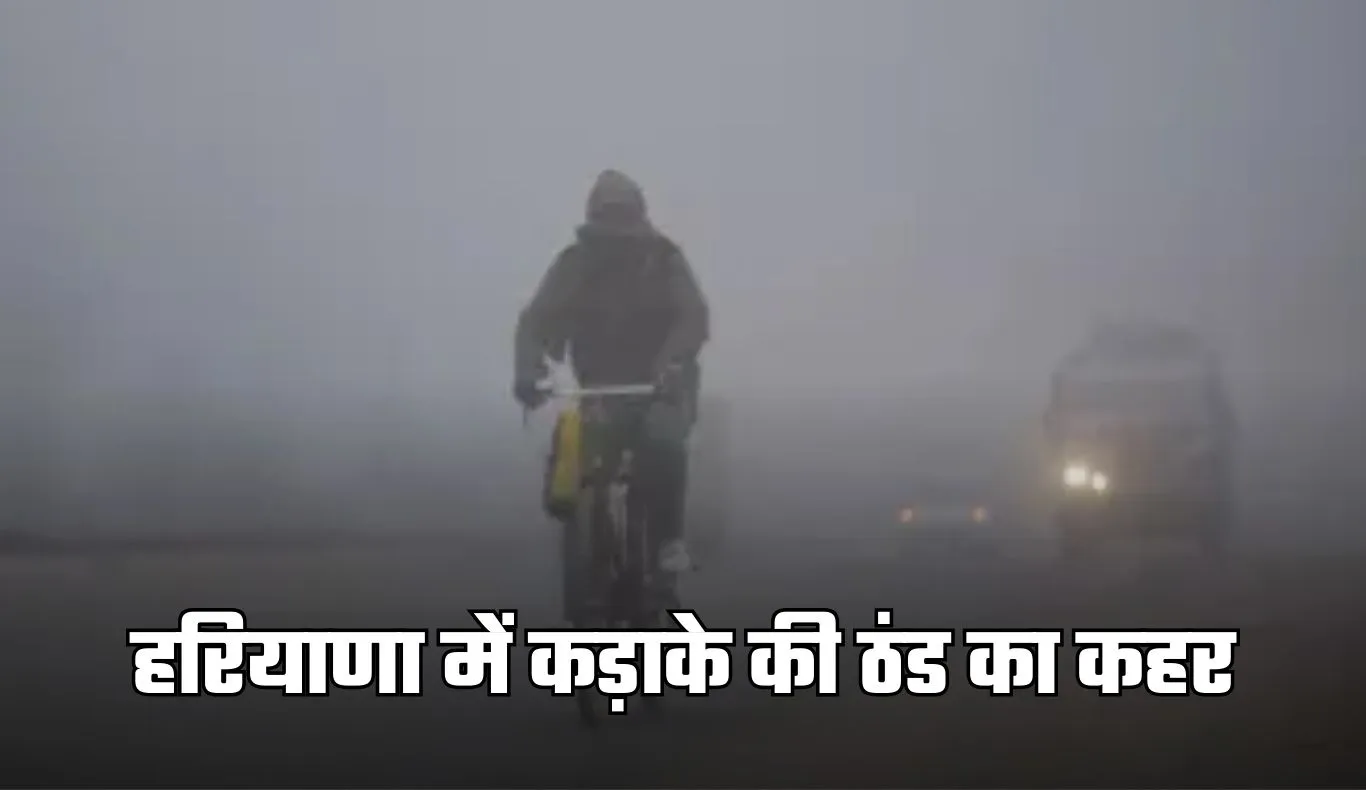 Haryana Weather: हरियाणा में कड़ाके की ठंड का कहर, शीतलहर का अलर्ट हुआ जारी 