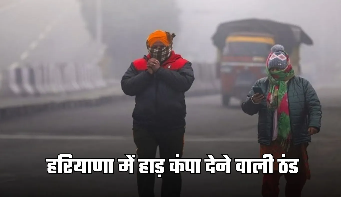 Haryana Weather: हरियाणा में हाड़ कंपा देने वाली ठंड, शीतलहर का अलर्ट जारी 