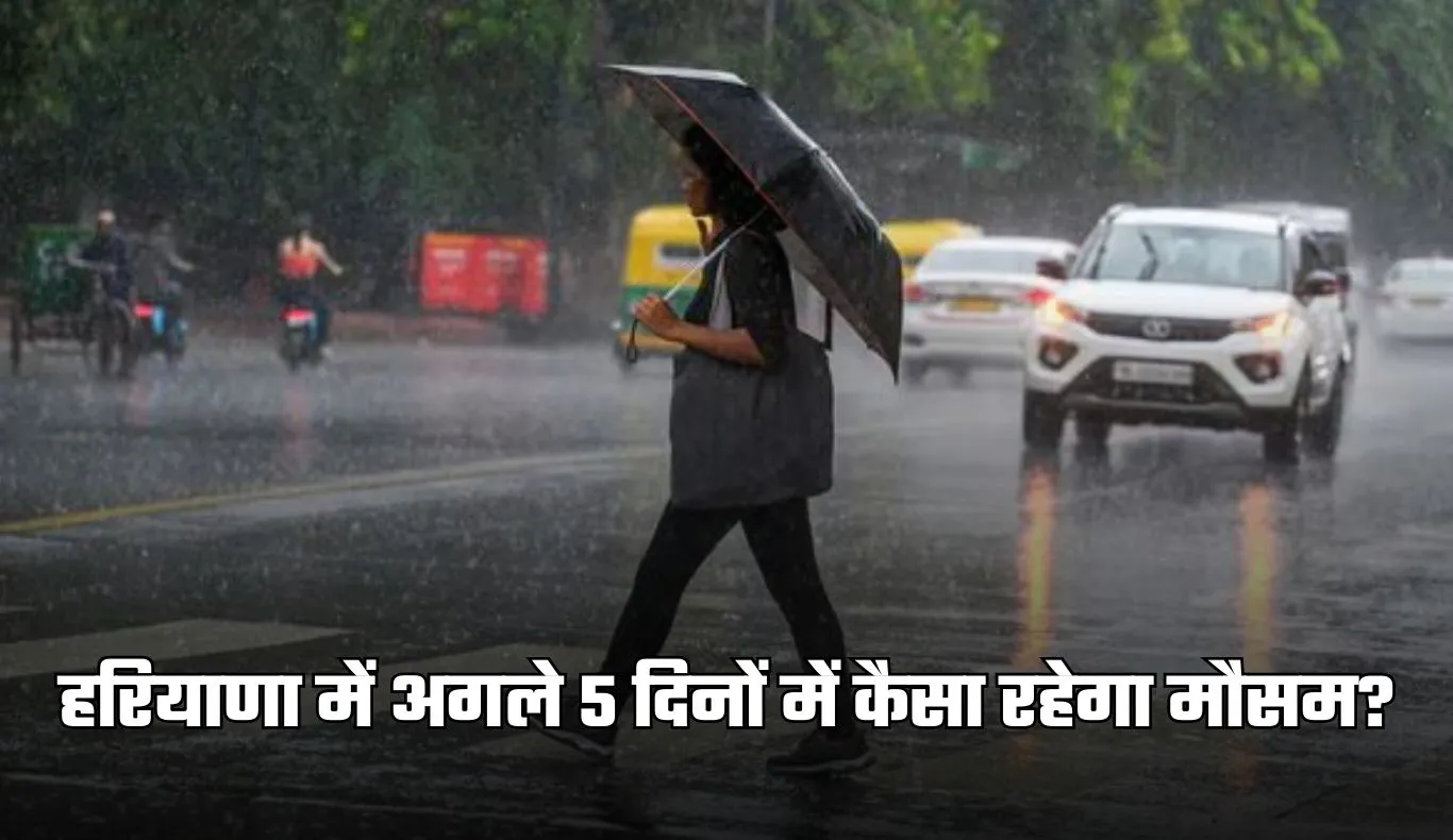Haryana Weather: हरियाणा में अगले 5 दिनों में कैसा रहेगा मौसम? देखें पूर्वानुमान 