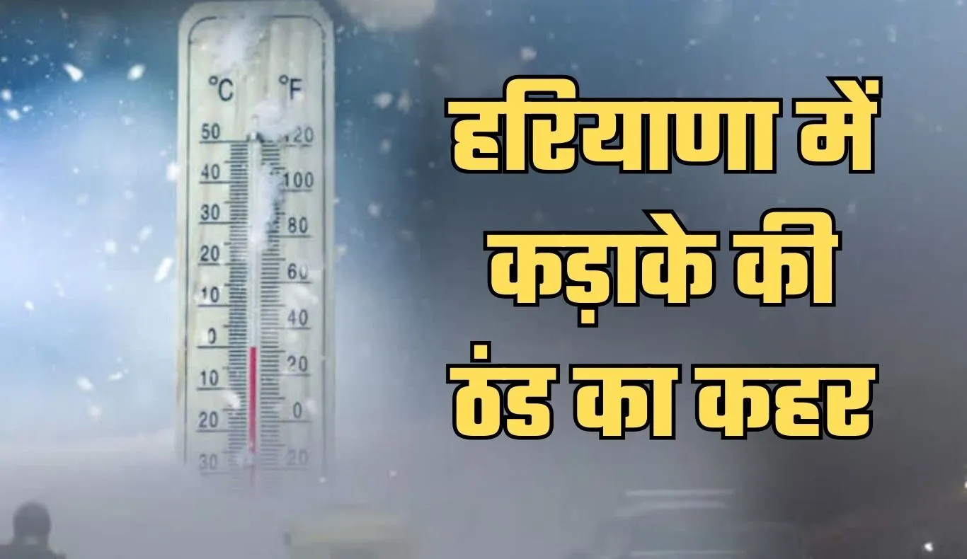 Haryana Weather: हरियाणा में कड़ाके की ठंड का कहर, इस दिन से बदलेगा मौसम