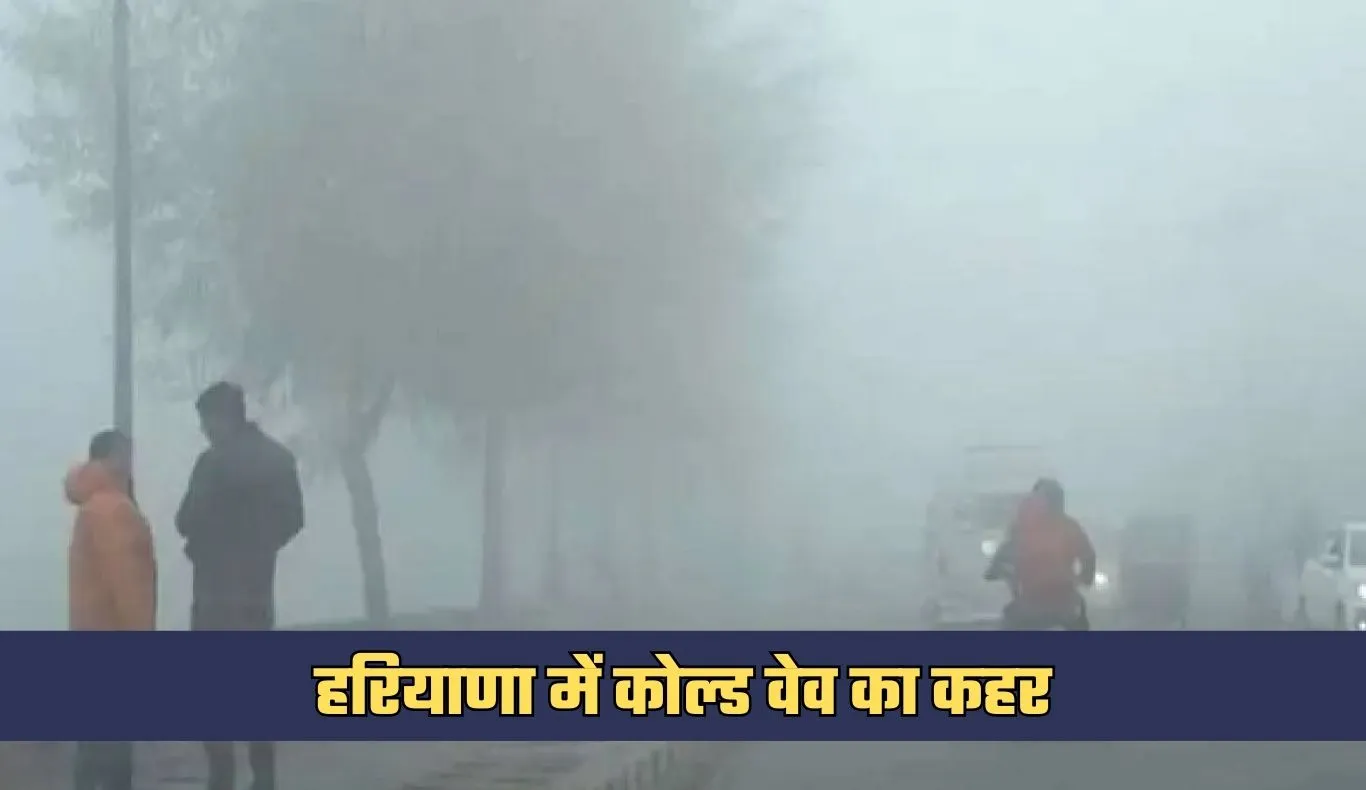 Haryana Weather: हरियाणा में कोल्ड वेव का कहर, दिन में भी रात जैसी ठंड