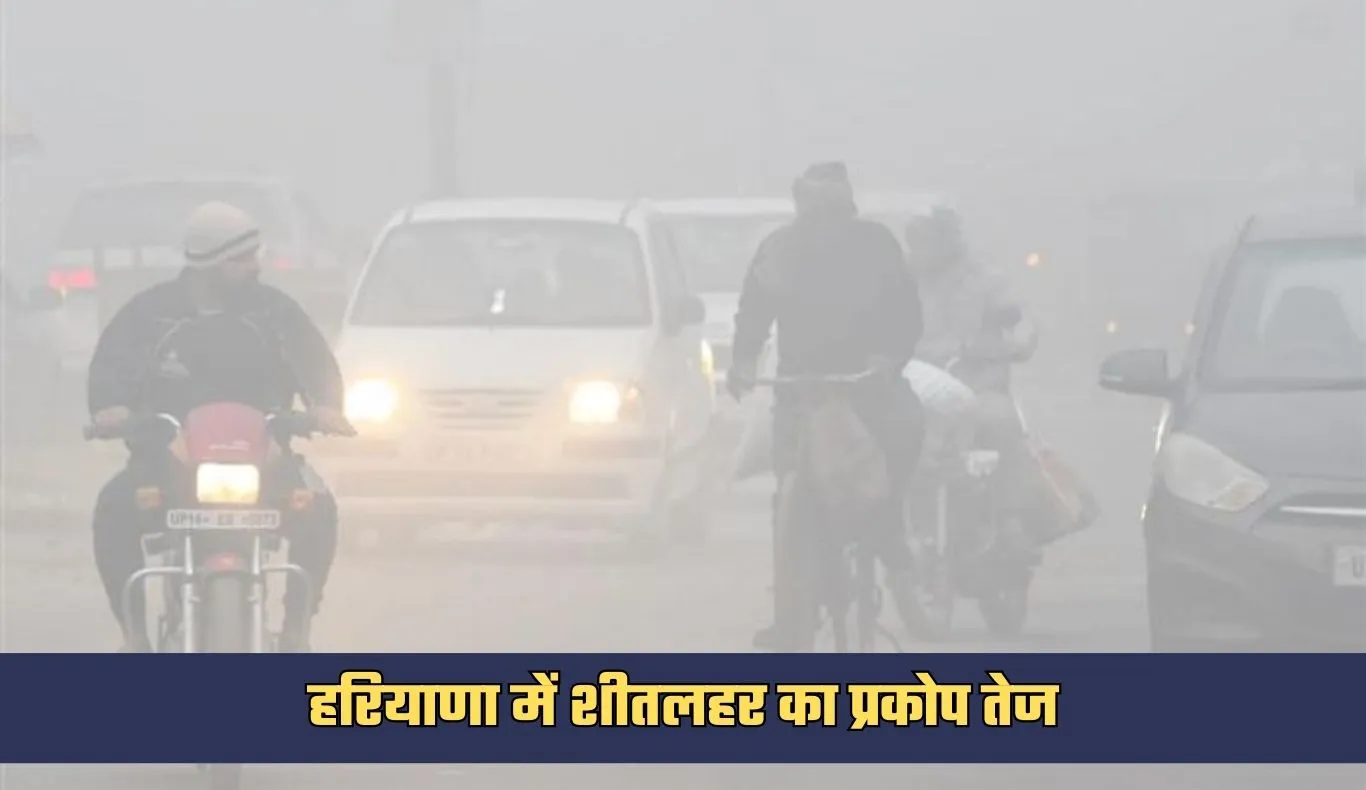 Haryana Weather: हरियाणा में शीतलहर का प्रकोप तेज, 17 जिलों में कोल्ड वेव अलर्ट
