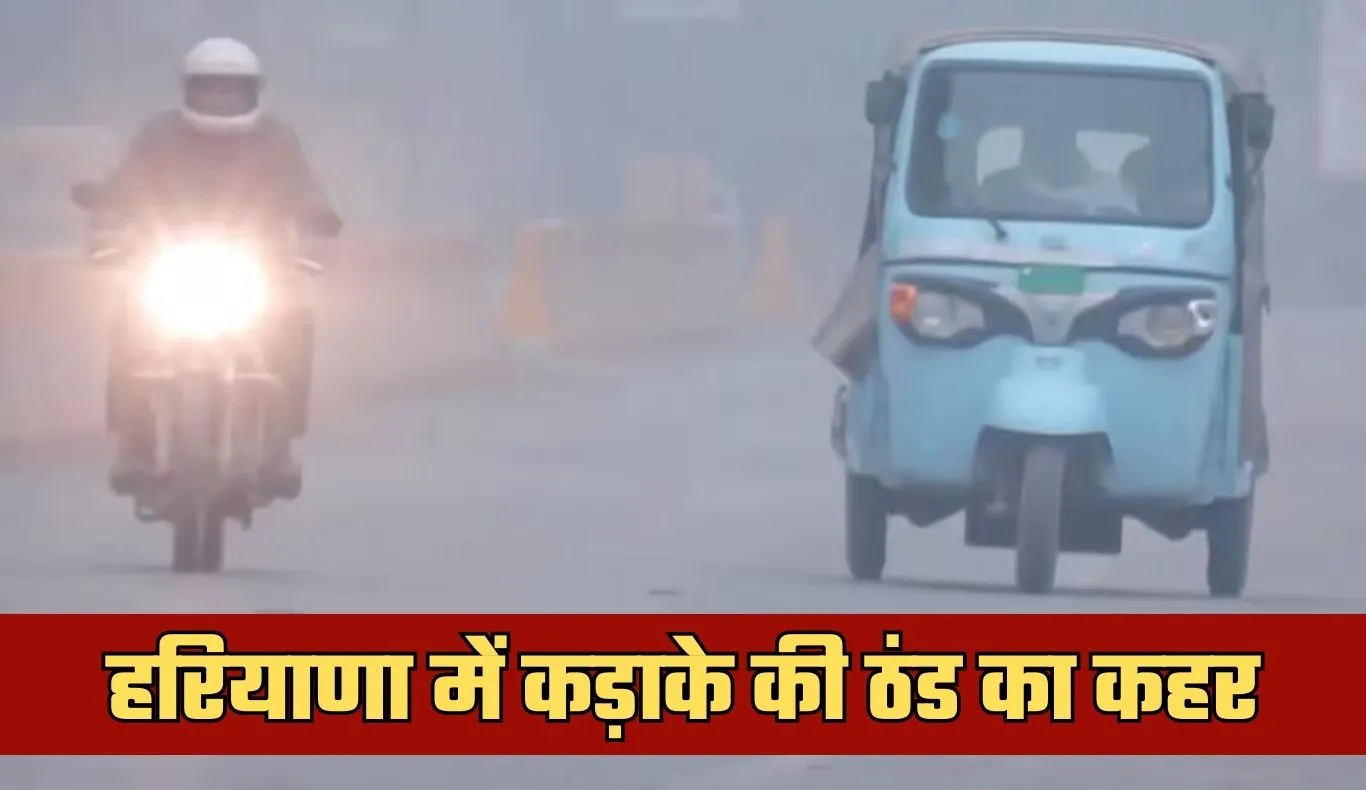 Haryana Weather: हरियाणा में कड़ाके की ठंड का कहर, कई जिलों में कोल्ड डे की चेतावनी