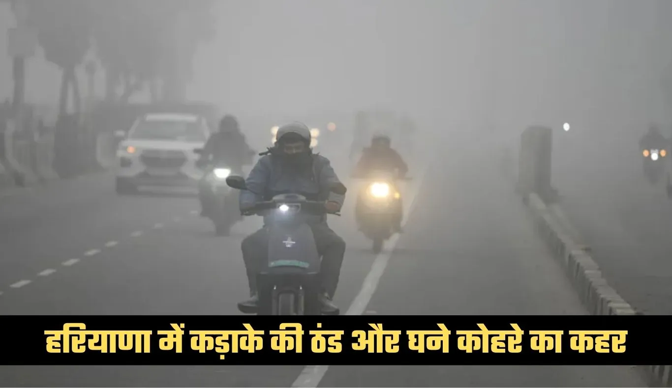 Haryana Weather: हरियाणा में कड़ाके की ठंड और घने कोहरे का कहर, जानें अगले 3 दिन कैसा रहेगा मौसम 