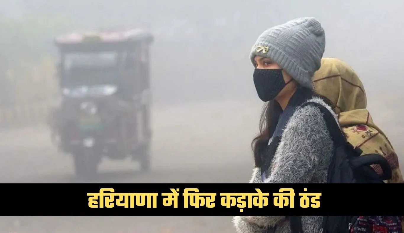 Haryana Weather: हरियाणा में फिर कड़ाके की ठंड, कई जिलों में विजिबिलिटी 0 से 50 मीटर