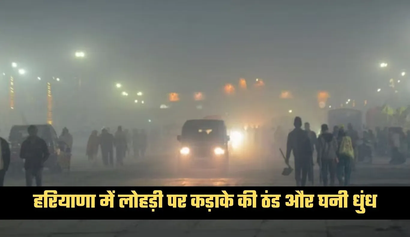 Haryana Weather: हरियाणा में लोहड़ी पर कड़ाके की ठंड और घनी धुंध, कई जिलों में रेड अलर्ट