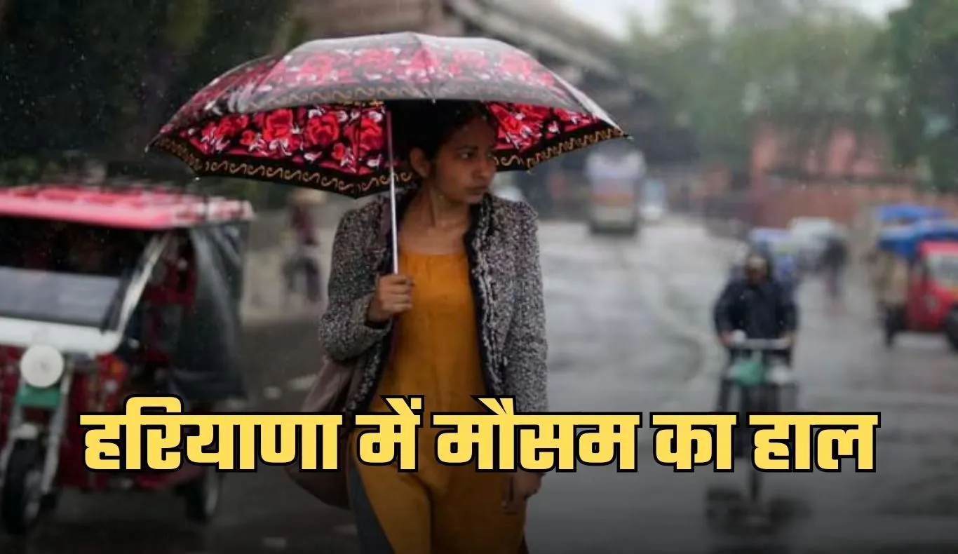 Haryana Weather: हरियाणा में अगले 7 दिनों में कैसा रहेगा मौसम? देखें पूर्वानुमान 