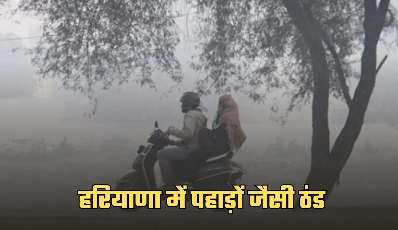 Haryana Weather: हरियाणा में पहाड़ों जैसी ठंड, 13 जिलों में ऑरेंज अलर्ट
