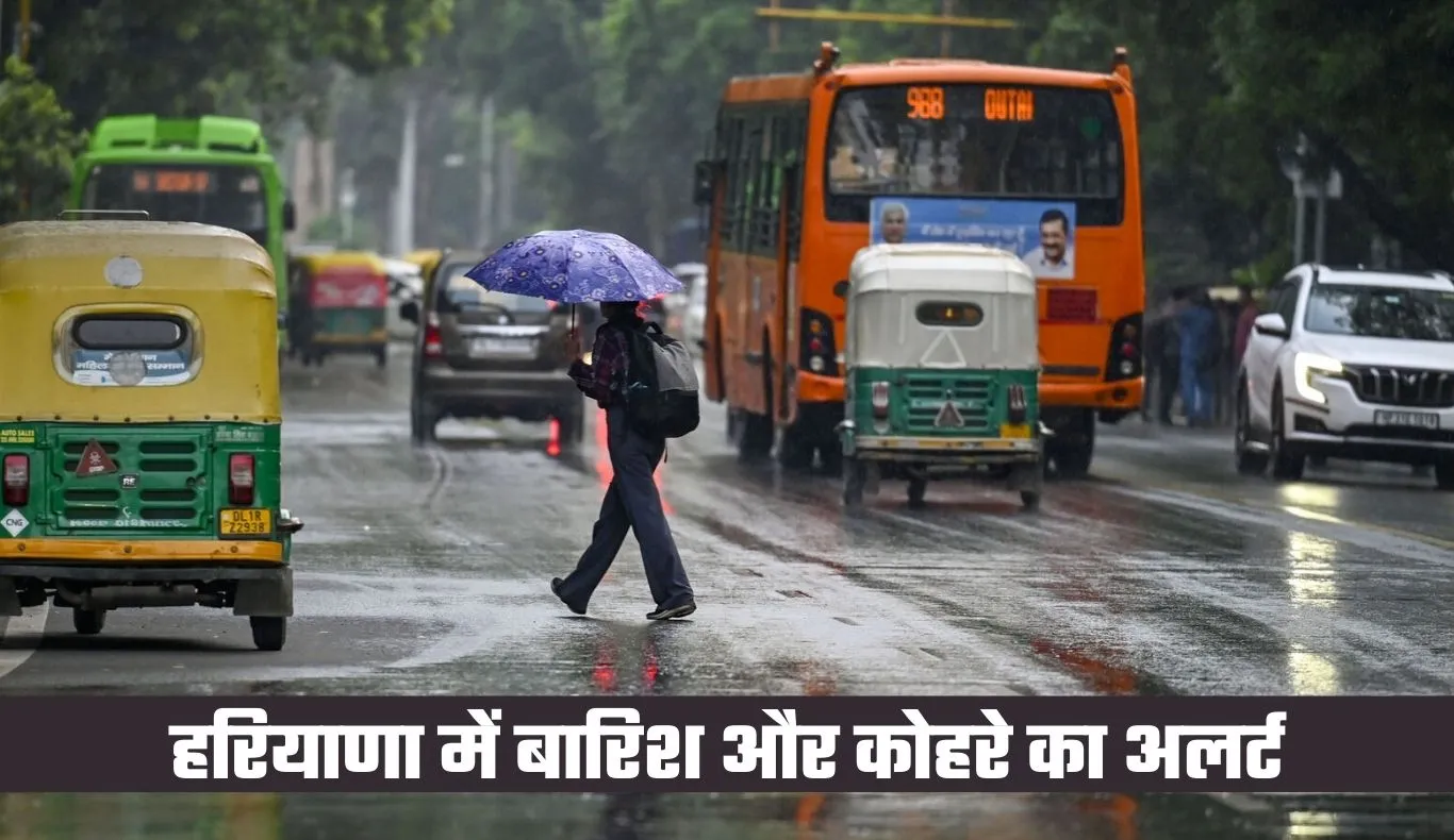 Haryana Weather: हरियाणा में ठंडी हवाओं से बढ़ी कंपकंपी, बारिश और कोहरे का अलर्ट