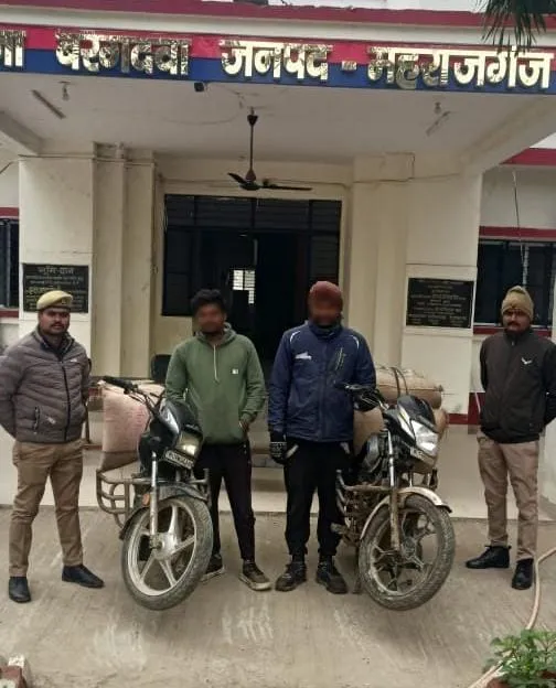 Maharajganj : बरगदवा पुलिस द्वारा कस्टम अधिनियम में की गई कार्यवाही