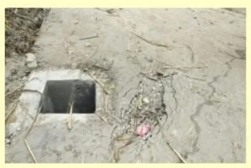 Kushinagar : आरसीसी सड़क गुणवत्ता पर सवाल