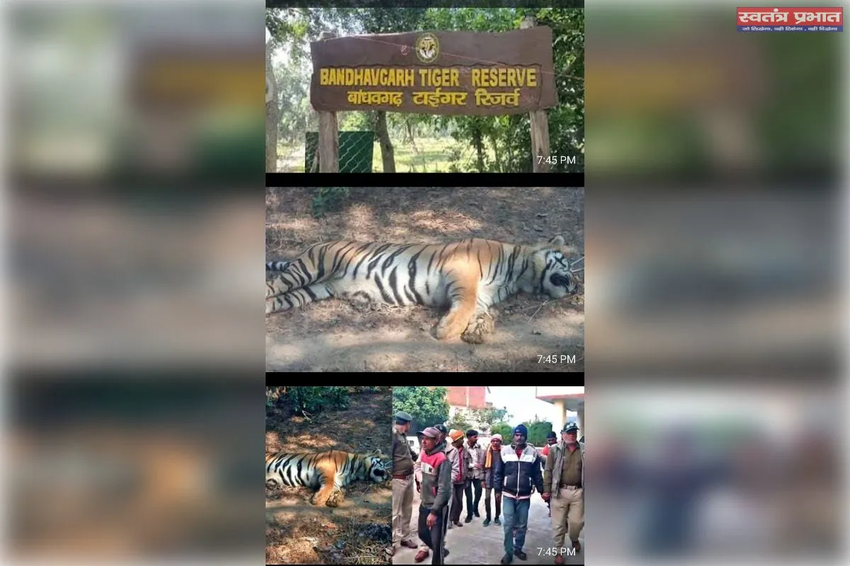 वन विभाग की दोहरे मापदण्ड से उपजते सवाल 