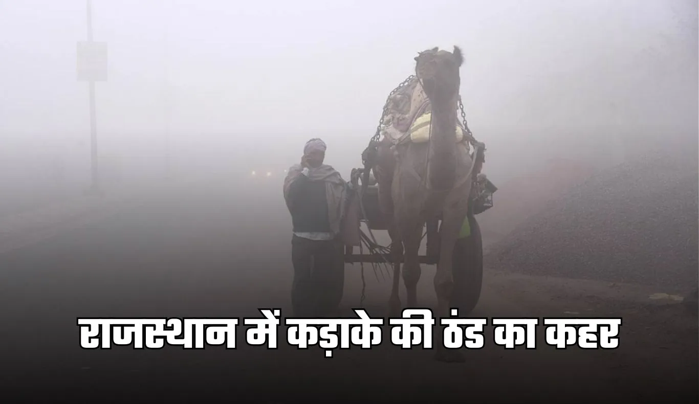 Rajasthan Weather: राजस्थान में कड़ाके की ठंड का कहर, शीतलहर–घना कोहरा जारी