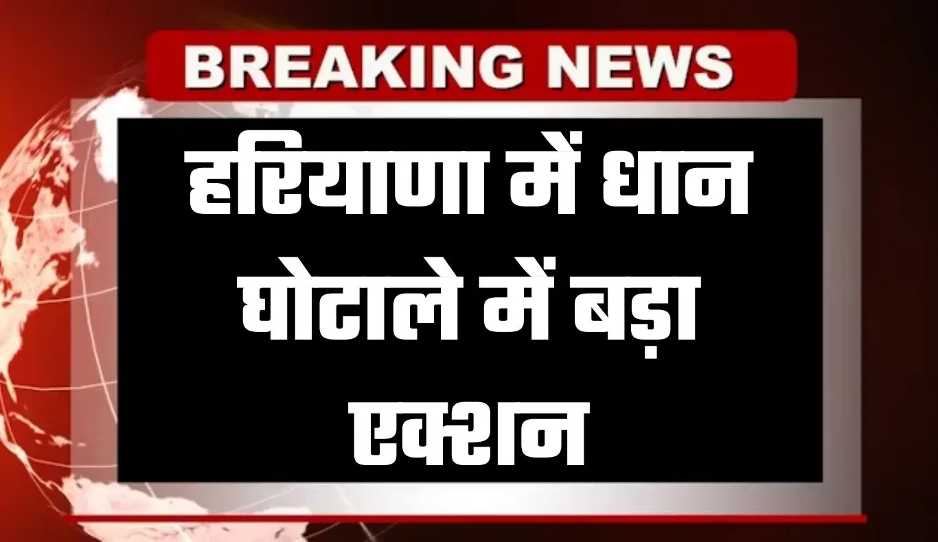 Haryana: हरियाणा में धान घोटाले में बड़ा एक्शन, CIA ने 4 आरोपी किए गिरफ्तार