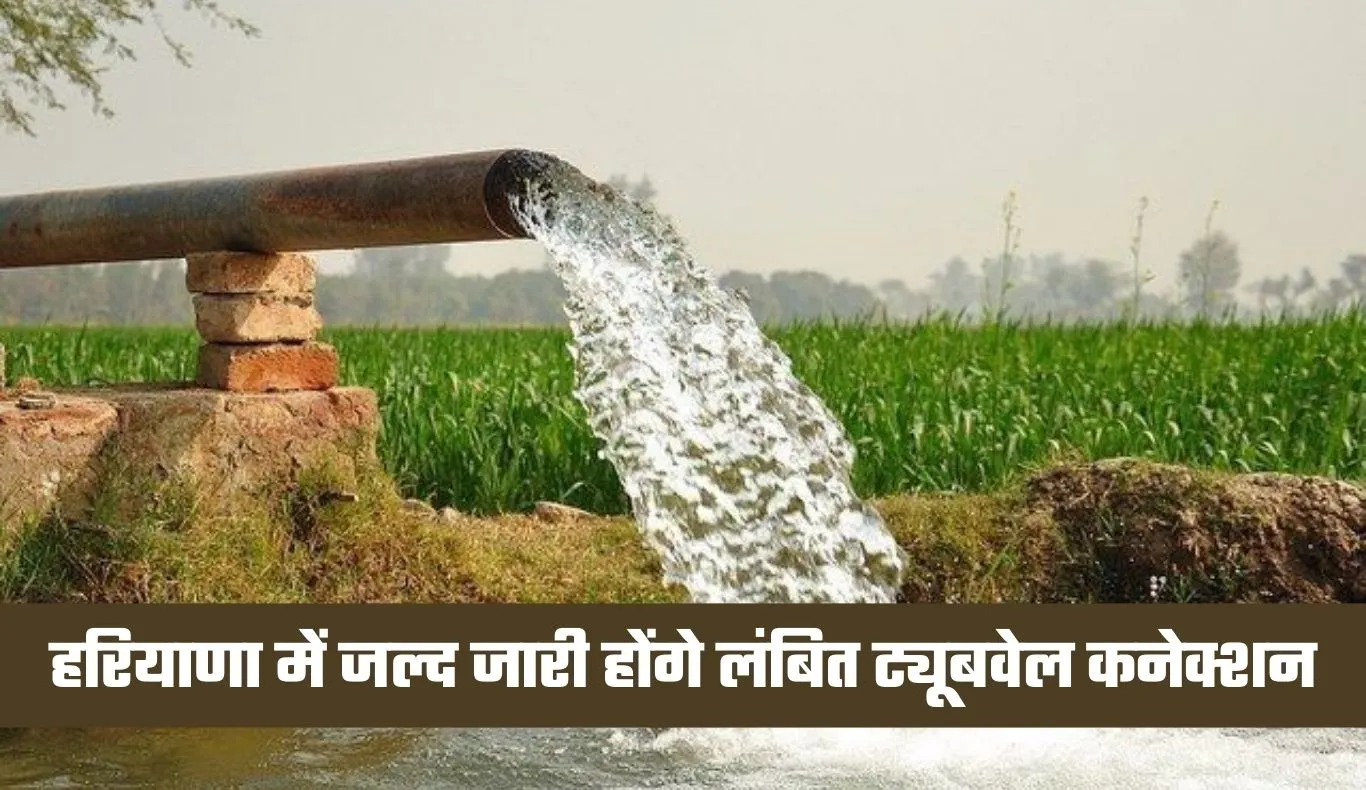 Haryana: हरियाणा में किसानों के लिए खुशखबरी, जल्द जारी होंगे लंबित ट्यूबवेल कनेक्शन 