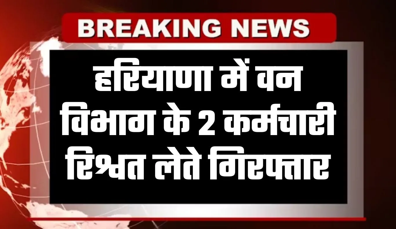 Haryana: हरियाणा में ACB टीम का एक्शन, वन विभाग के 2 कर्मचारी रिश्वत लेते गिरफ्तार
