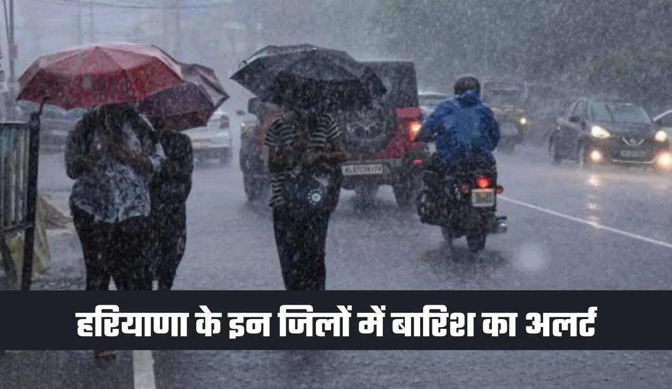 Haryana Weather: हरियाणा में घना कोहरा, इन जिलों में बारिश का अलर्ट