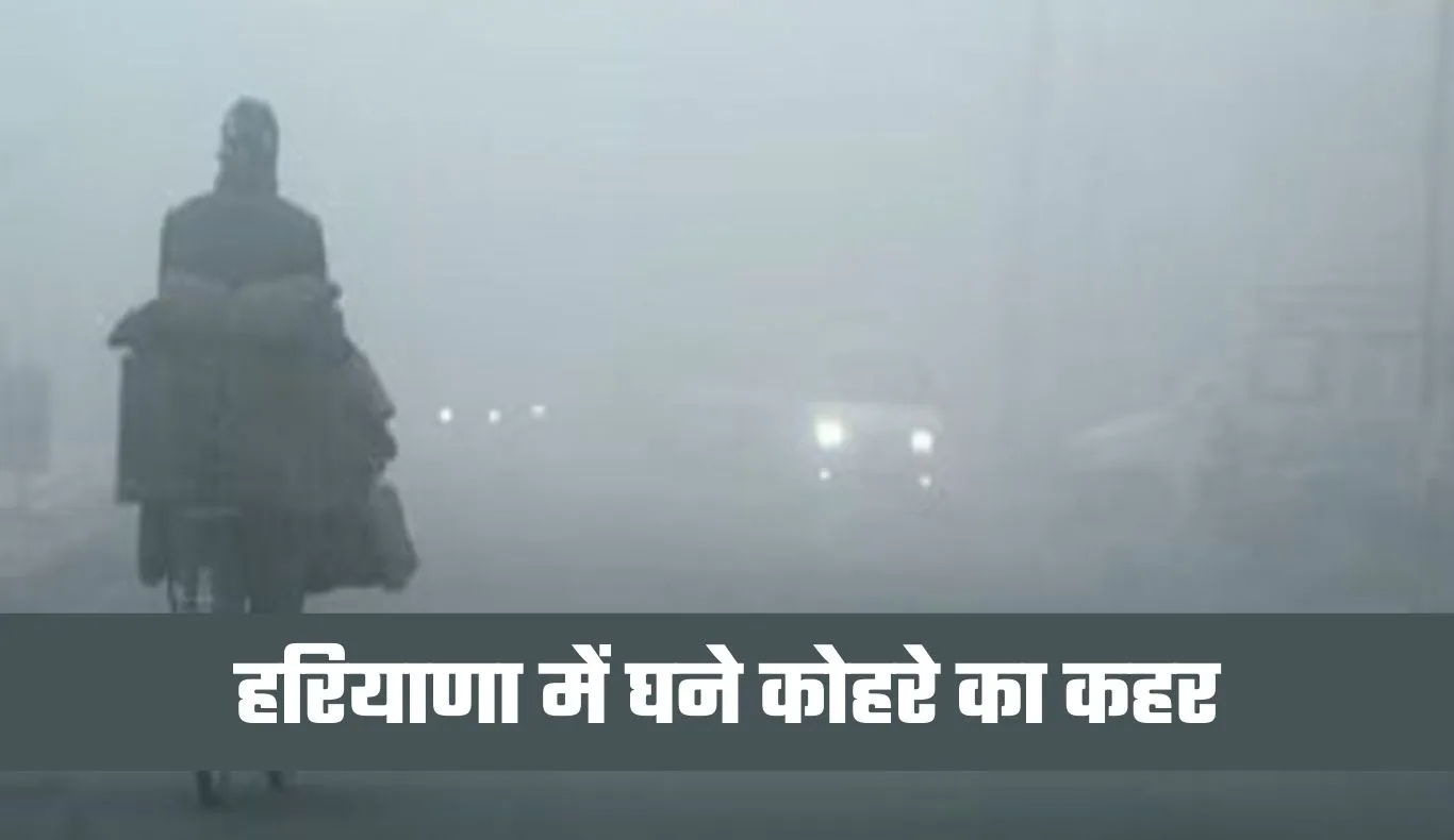 Haryana Weather: हरियाणा में घने कोहरे का कहर, येलो अलर्ट जारी