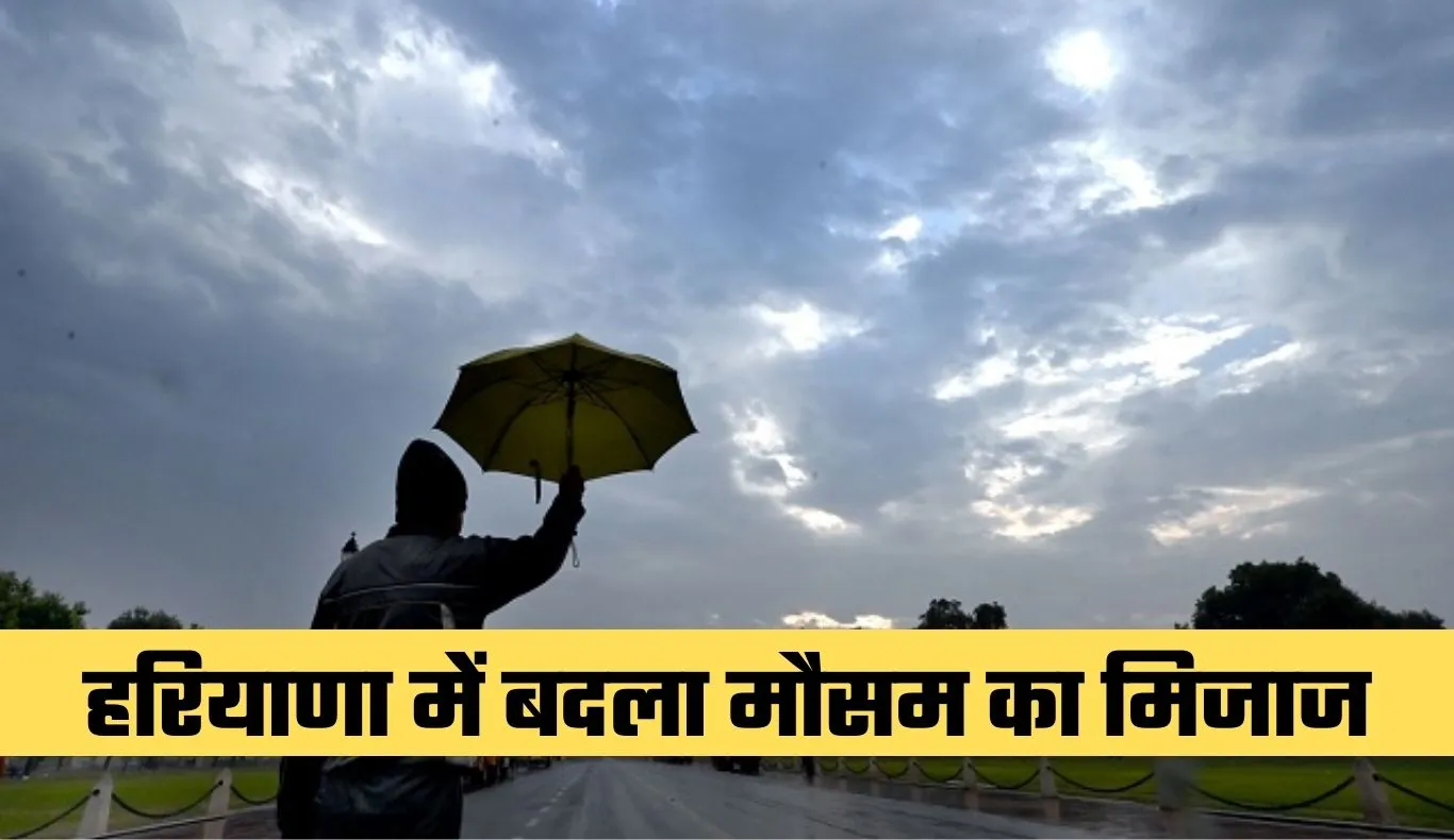 Haryana Weather: हरियाणा में बदला मौसम का मिजाज, किसानों की बढ़ी चिंता