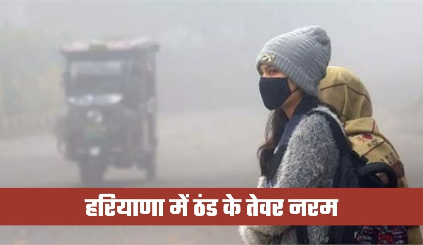 Haryana Weather: हरियाणा में ठंड के तेवर नरम, फरवरी की शुरुआत से बदला मौसम का मिजाज