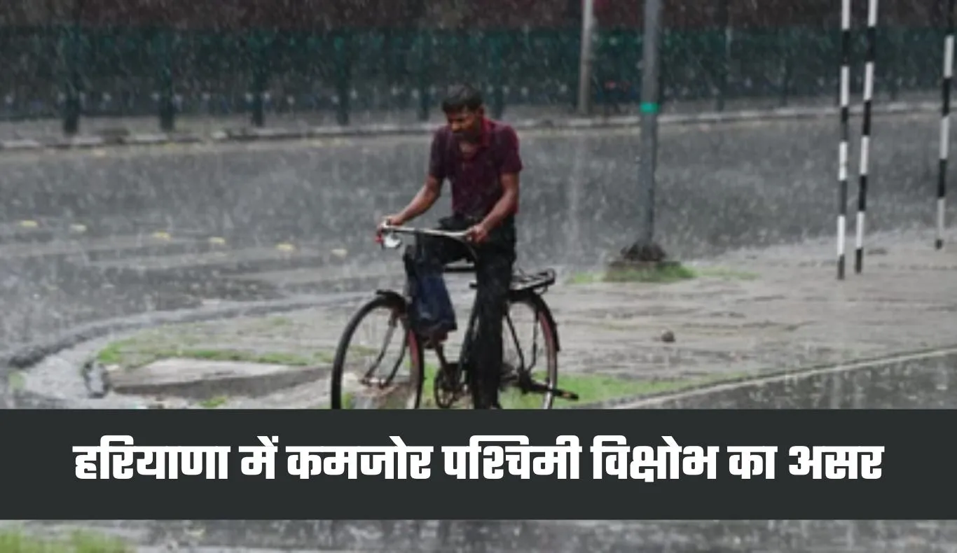 Haryana Weather: हरियाणा में कमजोर पश्चिमी विक्षोभ का असर, बढ़ते तापमान से मिली आंशिक राहत