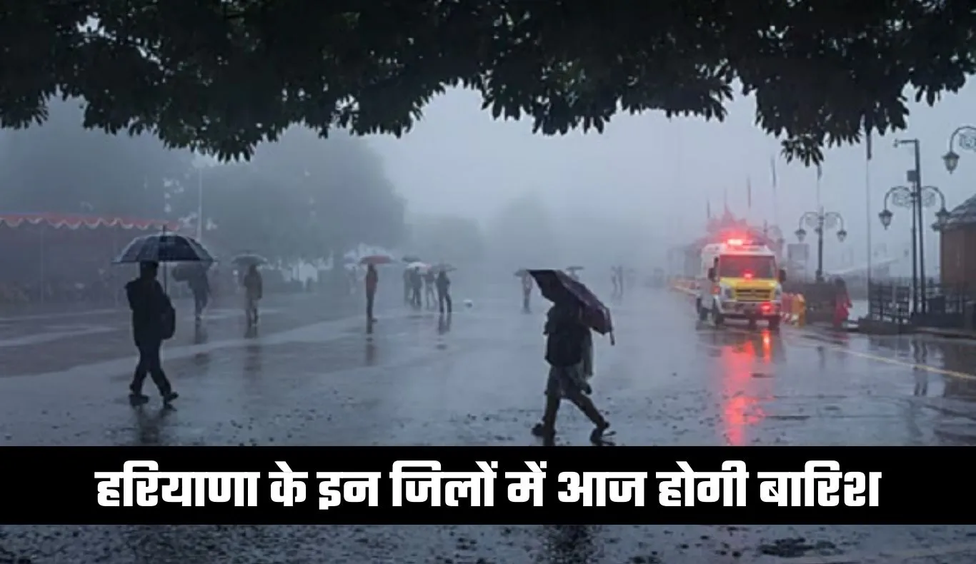 Haryana Weather: हरियाणा के इन जिलों में आज होगी बारिश, जानें आपके शहर का हाल 