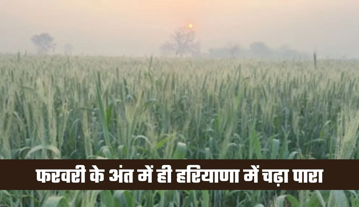 Haryana Weather: फरवरी के अंत में ही हरियाणा में चढ़ा पारा, 31 डिग्री तक पहुंचा तापमान