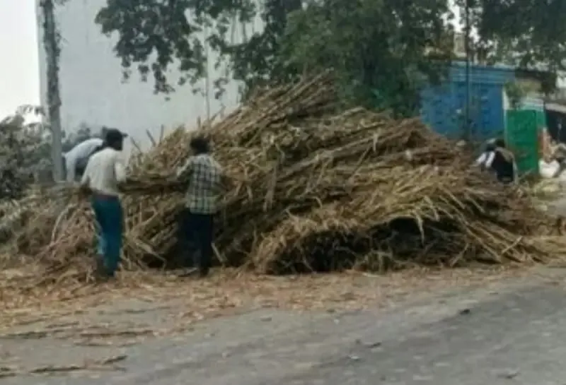 बस्ती में गन्ना लदा ओवरलोड ट्राला पलटा, सजनाखोर कांटे के पास हादसा
