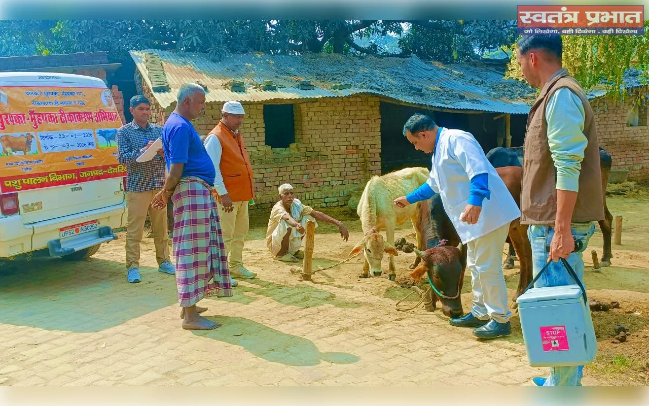 पशुपालन विभाग ने खुरपका-मुंहपका टीकाकरण शिविर किया आयोजित