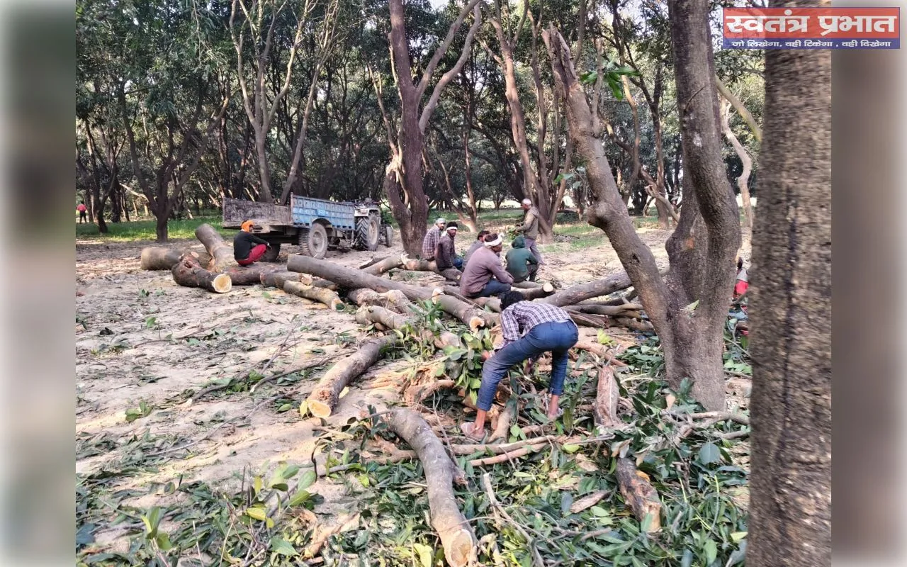 जेसीबी से मिटाए सबूत; वन-दरोगा ताहिर खां की मिलीभगत के आरोप