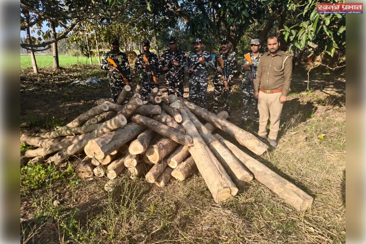 एसएसबी व वन विभाग की संयुक्त कार्रवाई में अवैध सागवान कटान का खुलासा, 28 बोटा जब्त