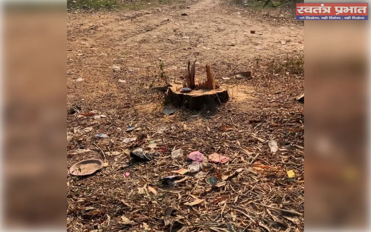 सूचना के बाद भी नहीं बच सका प्रतिबंधित गूलर का पेड़, कटरा वन रेंज में वन माफियाओं का आतंक