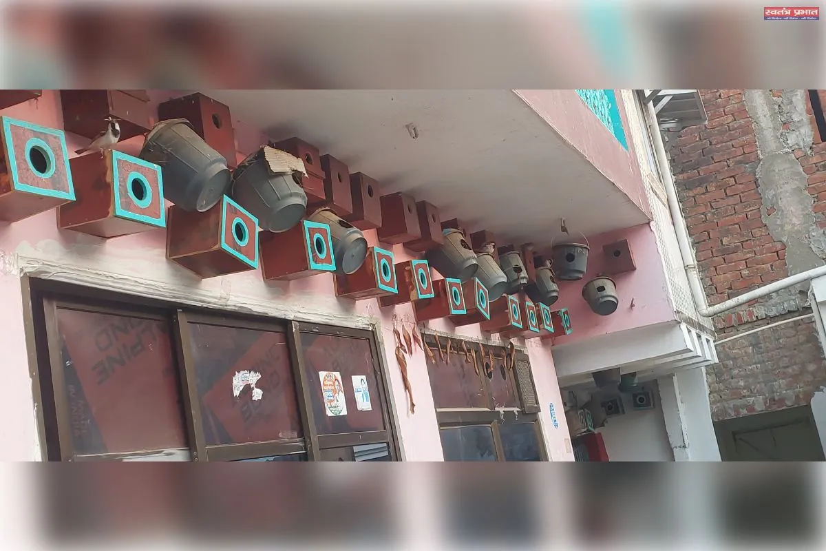 घर पर चिड़ियों का डेरा लगने से मन में होती है खुशी : कंचन वर्मा 