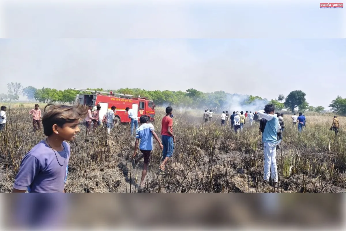 अज्ञात कारणों से पशुचर पर लगी आग