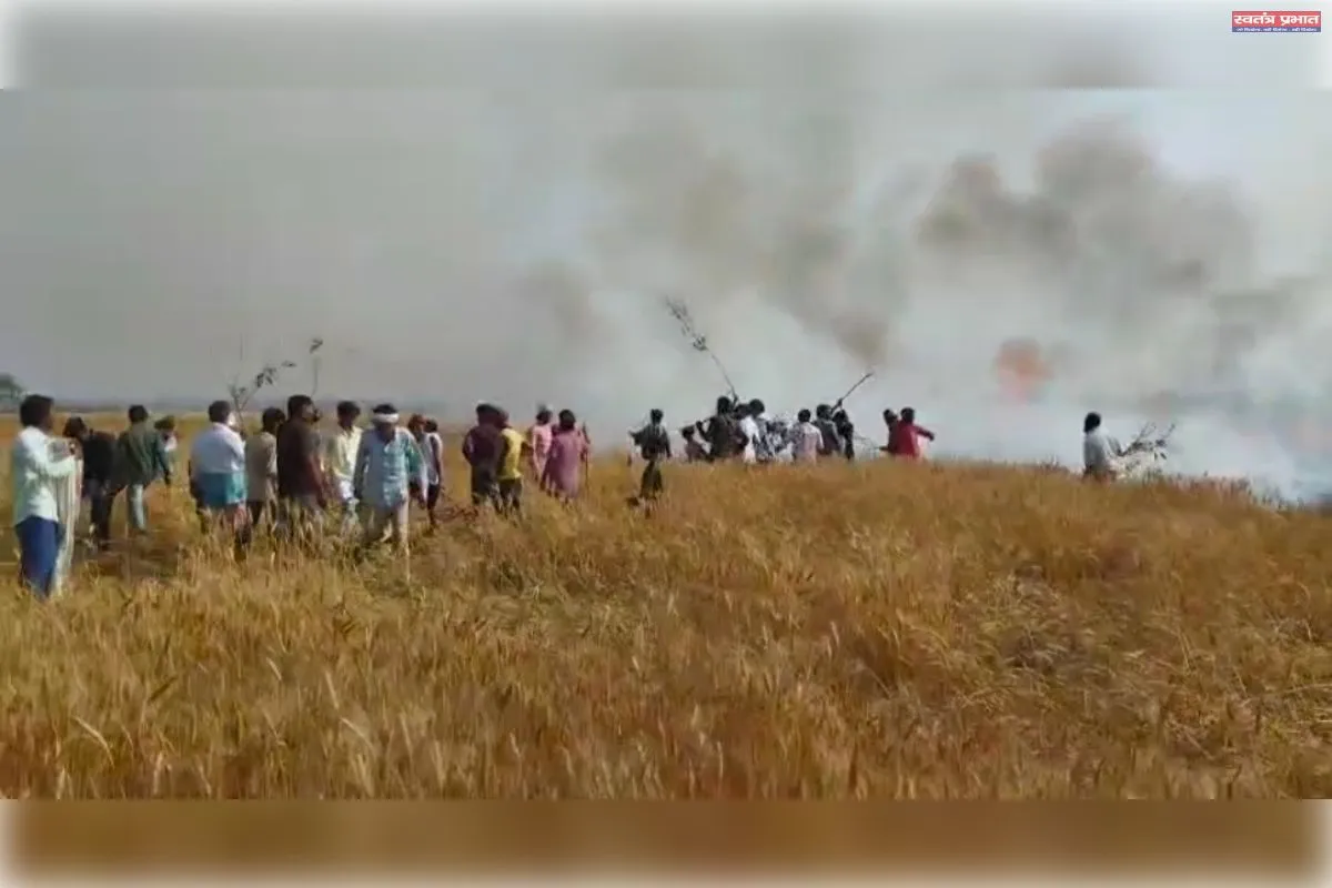 आग लगने से गेहूं की  30 बीघा फसल जलकर राख