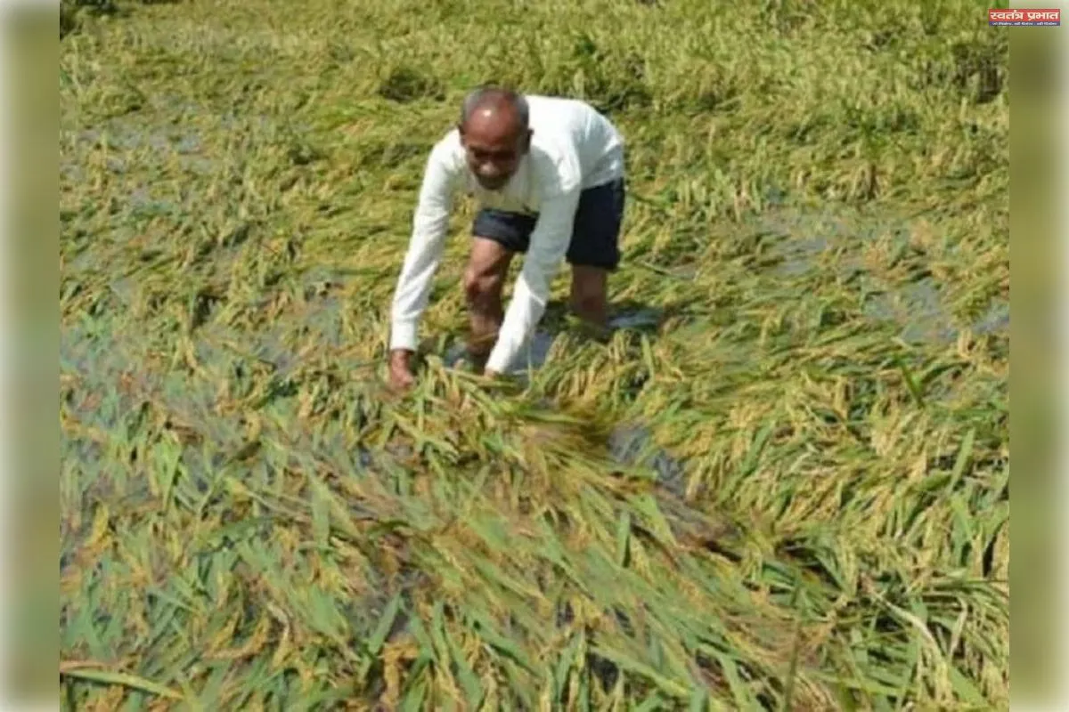 बेमौसम बारिश और तेज आंधी ने बढ़ाई किसानों की चिंता