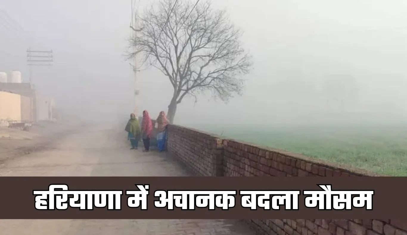 Haryana Weather: हरियाणा में अचानक बदला मौसम, कई इलाकों में घना कोहरा