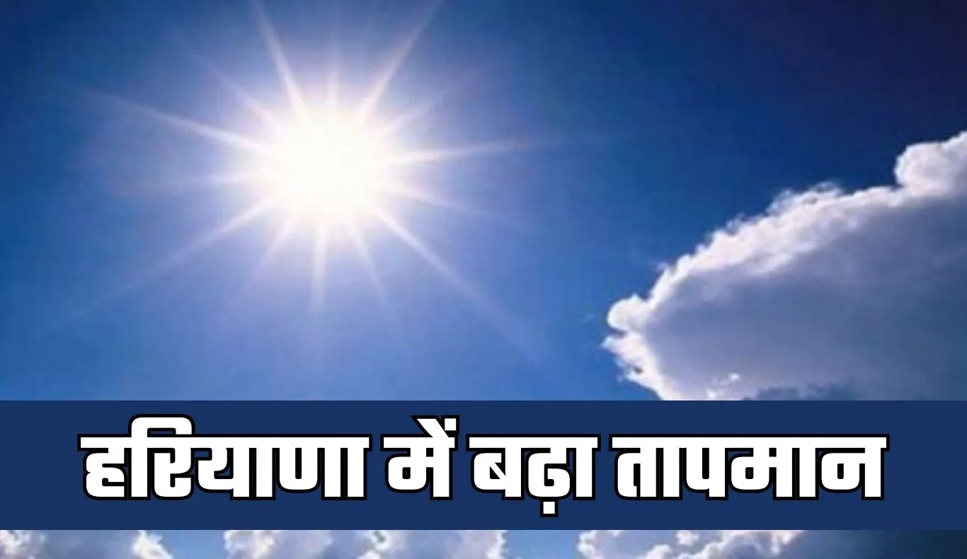 Haryana Weather: हरियाणा में बढ़ा तापमान, फसलों पर दिखने लगा असर
