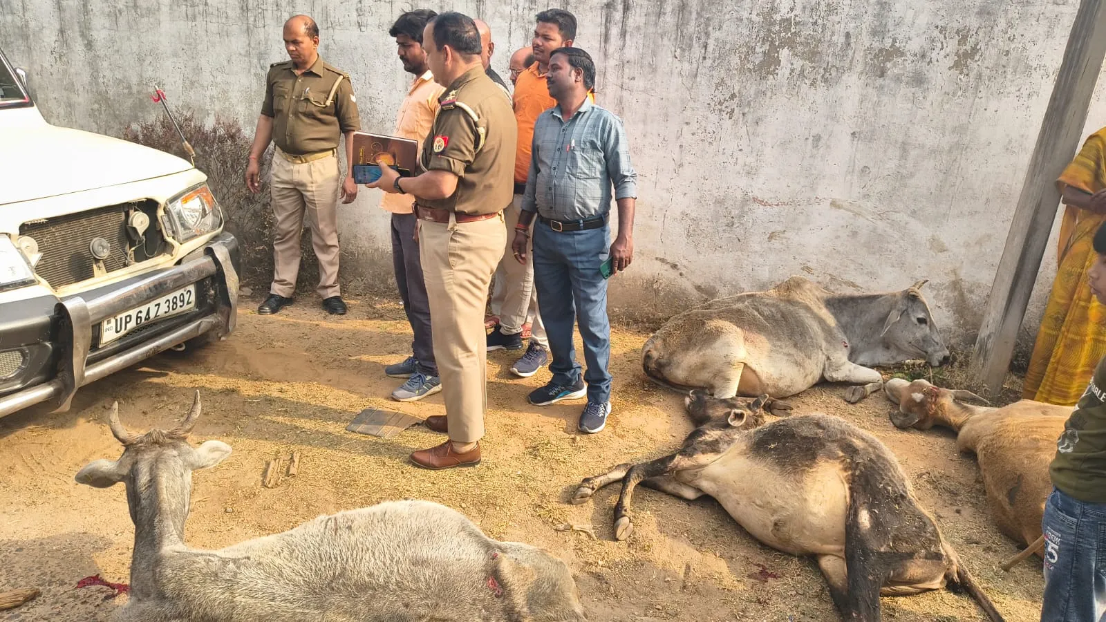 बीजपुर -शांतिनगर पुनर्वास प्रथम बाईपास  रोड पर तेज रफ्तार  बोलेरो का तांडव, चालक फरार