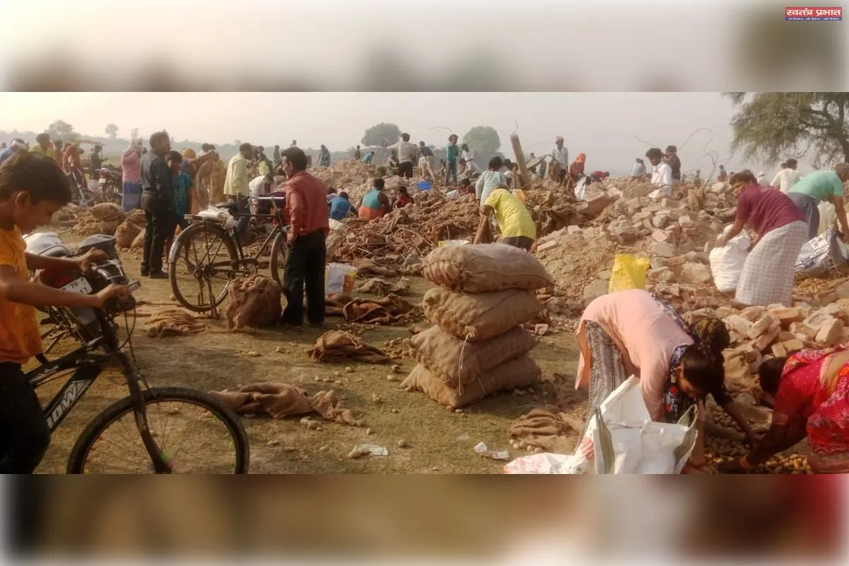 फाफामऊ के चंदापुर स्थित कोल्ड स्टोरेज में हादसे के बाद मलबे से आलू लूटने की मची होड़