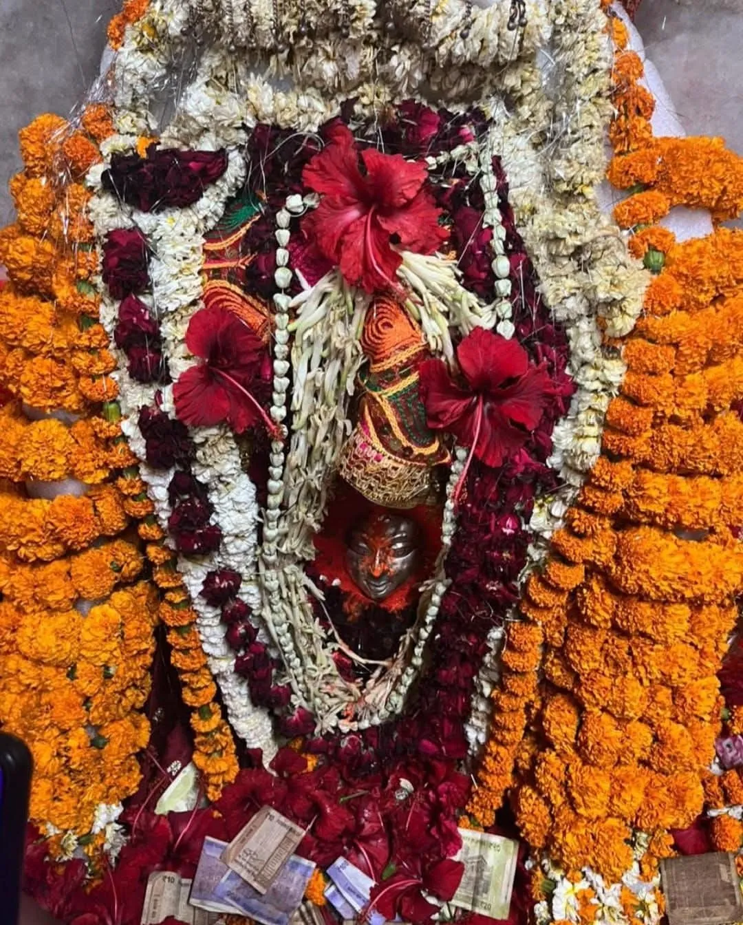 मां अमिला देवी धाम में  15 दिवसीय मेला  का आयोजन, श्रद्धालुओं की उमड़ी भीड़