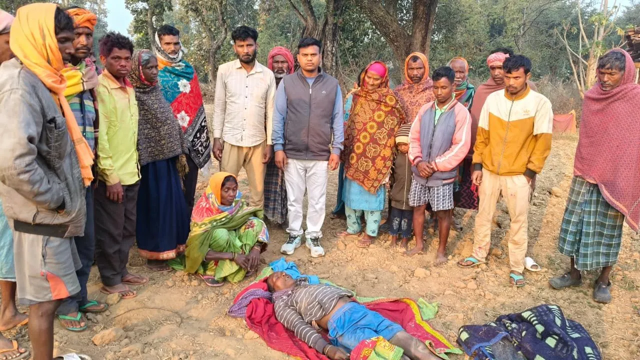 चंदवा के माल्हन पंचायत में जंगली हाथी का कहर