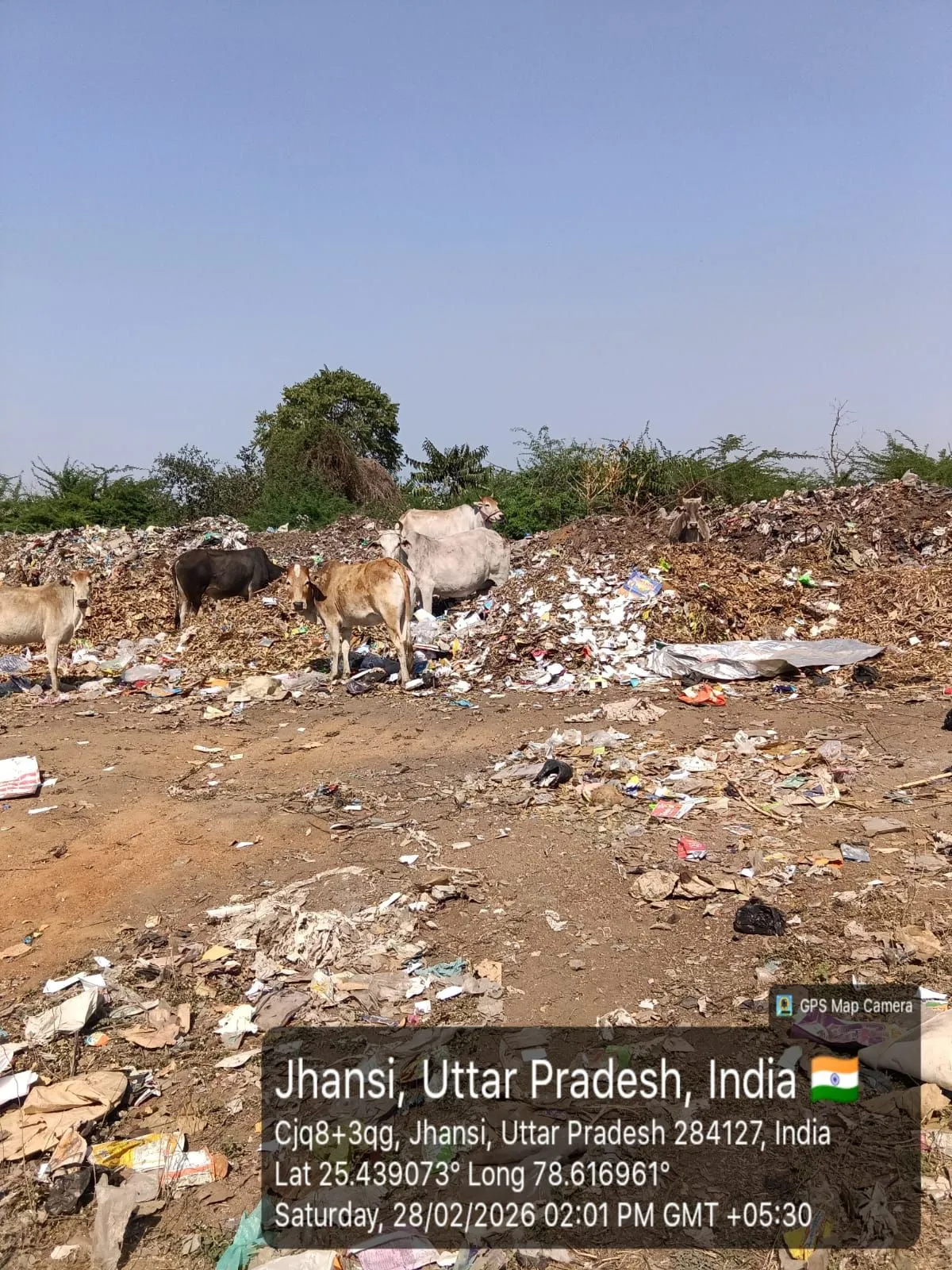 शिकायतकर्ता नरेंद्र कुशवाहा का कहना है कि विभागों के बीच तालमेल की कमी का खामियाजा पर्यावरण और बेजुबान पशुओं को भुगतना पड़ रहा है।