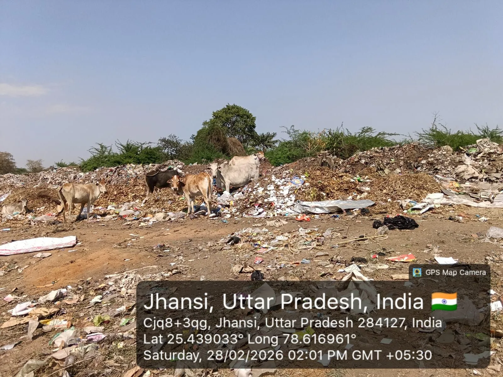 झांसी छावनी क्षेत्र में खुले में कचरा डंपिंग का मामला, MRF सेंटर को लेकर नगर निगम–छावनी परिषद आमने-सामने