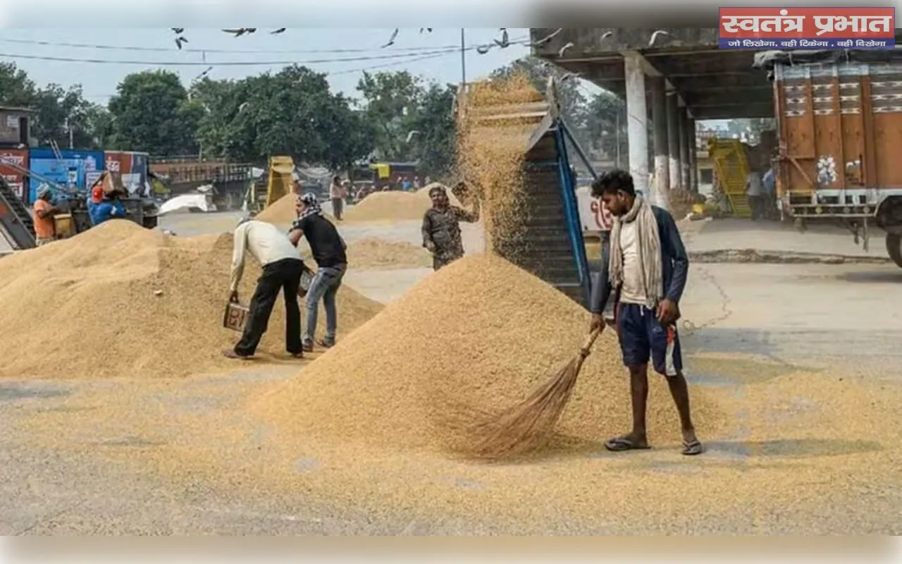 लक्ष्य से आगे निकली यूपी सरकार, 62.30 लाख मीट्रिक टन धान खरीदकर किसानों को दिए ₹14,886 करोड़