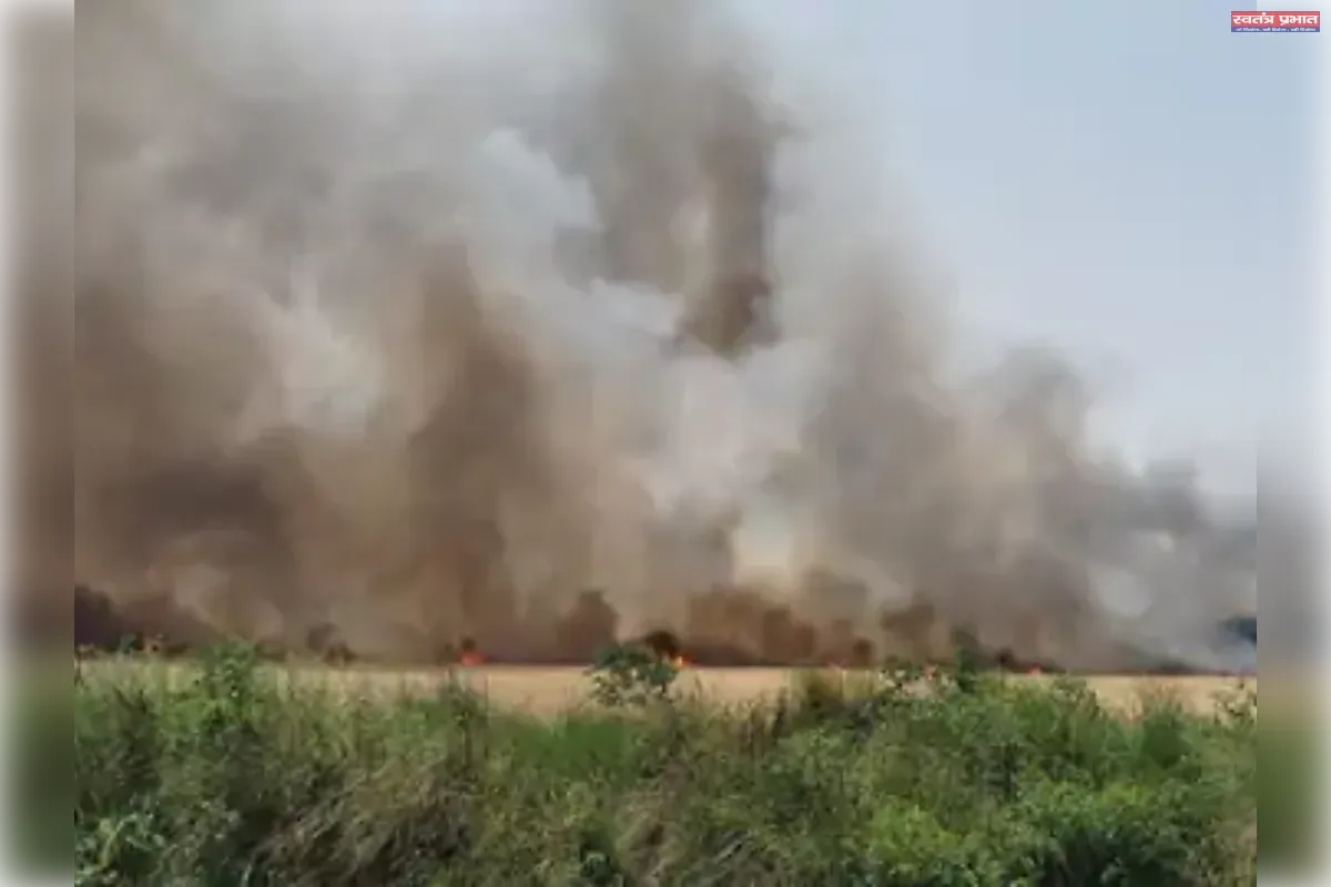 बलिया में भीषण आग का कहर: 100 एकड़ गेहूं राख, 200+ किसान प्रभावित; फायर ब्रिगेड की देरी पर आक्रोश