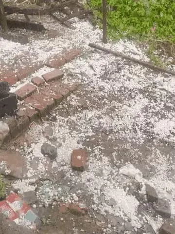 कानपुर में तेज आंधी पानी के साथ ओलावृष्टि 